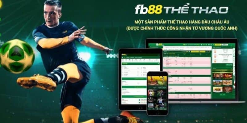 FB88 sảnh game cá cược bóng đá hàng đầu khu vực